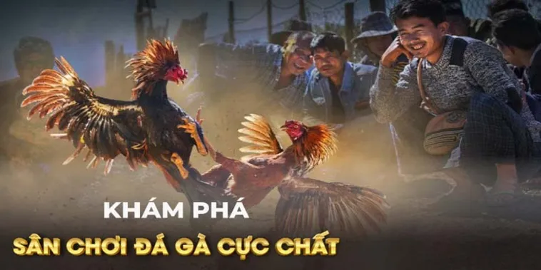 Đá Gà GA28 Tại 789Club Sân Chơi Uy Tín Cho Những Tín Đồ Đam Mê Gà Chọi Nòi