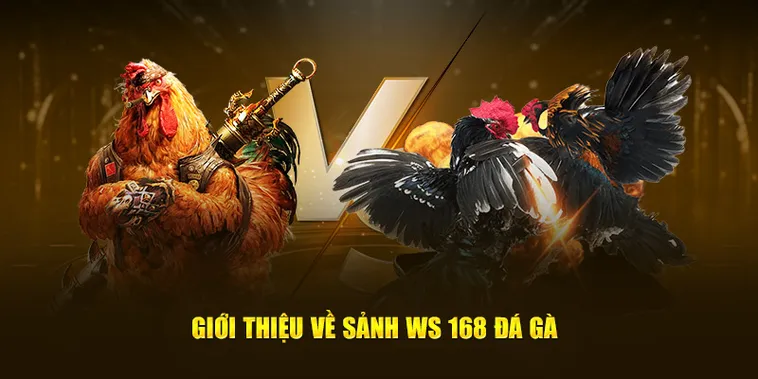 Đấu Trường Đá Gà WS168 Tại 789Club Đỉnh Cao Cá Cược Năm 2026