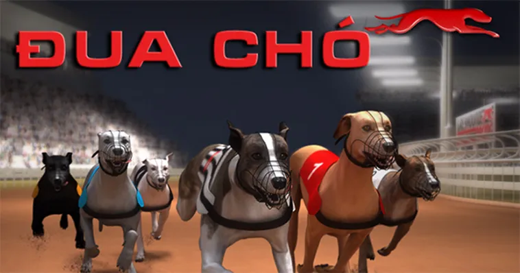 Bí Kíp Cá Cược Game Nhanh Đua Chó Tại 789Club Luôn Thắng Đậm
